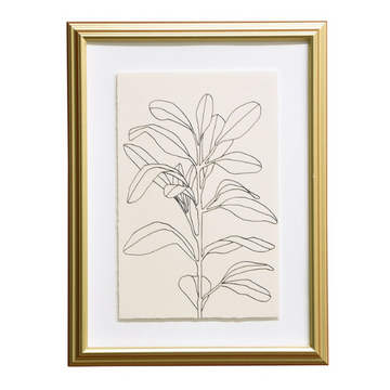 Botanical Framed Art - Simplicity
