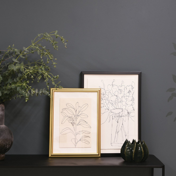 Botanical Framed Art - Simplicity