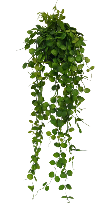 These low maintenance faux plants offer a realistic look without the hassle of remembering to keep your plants alive!