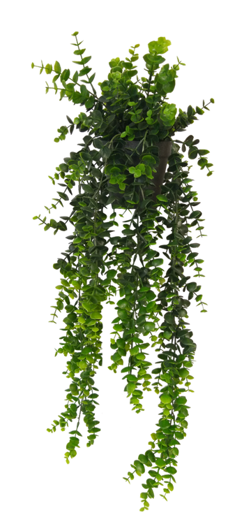 These stylish hanging Eucalyptus trails add extra style to your home. They're perfect for any surface in your home, to add to shelves, coffee tables and desks, with no maintenance required.