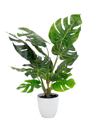 Generous in height the Split Philo brings a refreshing ambience to your living space with our incredibly realistic looking artificial plants.