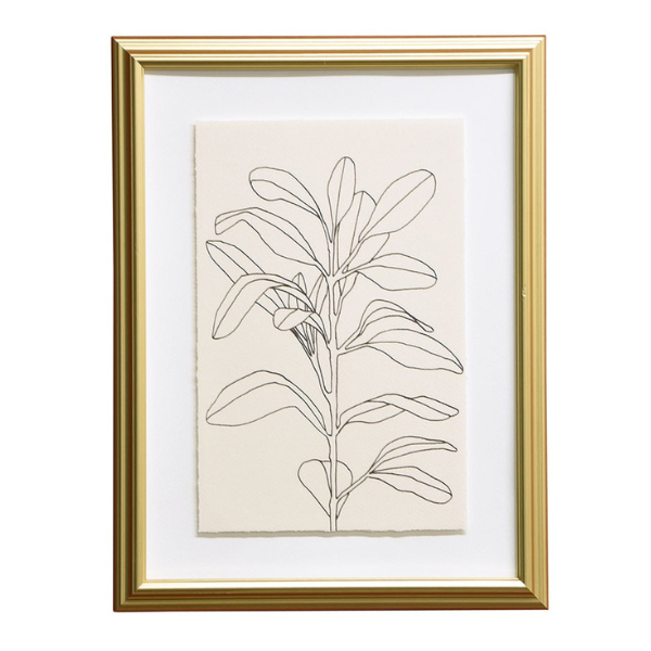 Botanical Framed Art - Simplicity