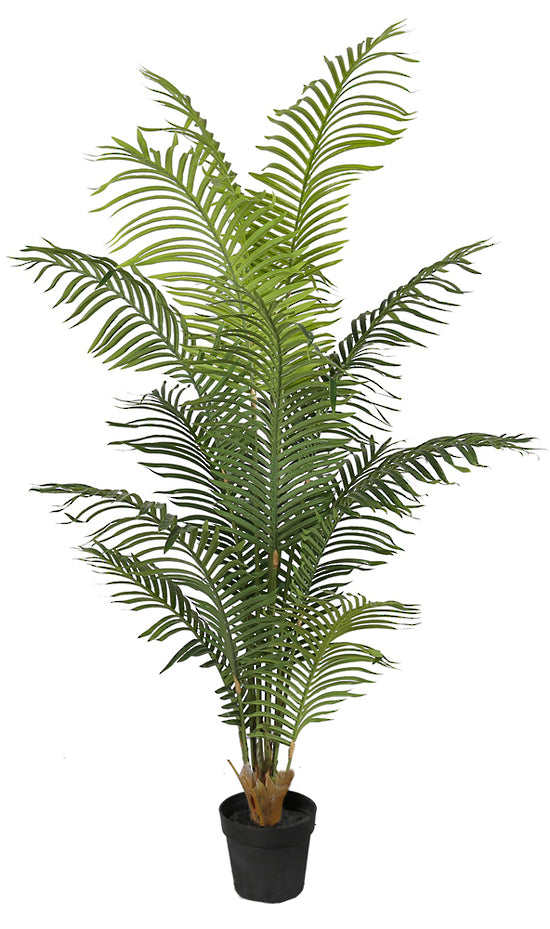 Create a relaxing and fresh retreat at home with the Hawaiian Palm Tree from Chambers Design. This lifelike artificial plant remains vibrant and fresh-looking all year round. Create the feeling of life in your living, office or patio. The Hawaiian Palm tree is perfect as a decorative accent to any space.