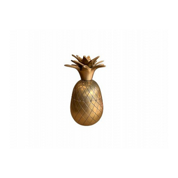 PINEAPPLE WITH STORAGE